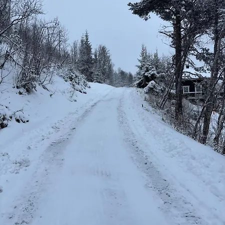 샬레 Geilo, Two Cabins, Silence, Nature, Skiing And Summer Sports 게일로