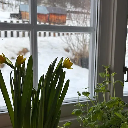 Geilo, Two Cabins, Silence, Nature, Skiing And Summer Sports 샬레
