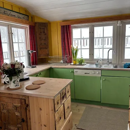 샬레 Geilo, Two Cabins, Silence, Nature, Skiing And Summer Sports