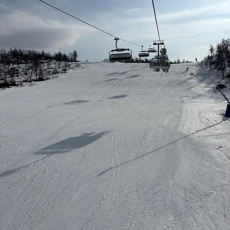 샬레 Geilo, Two Cabins, Silence, Nature, Skiing And Summer Sports *