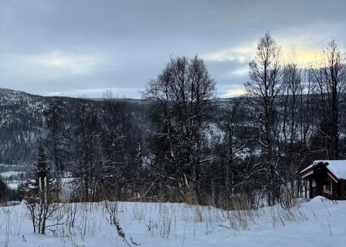 Authentic Norwegian For 8 With Fireplaces & Modern Comfort Near Slopes * גיילו