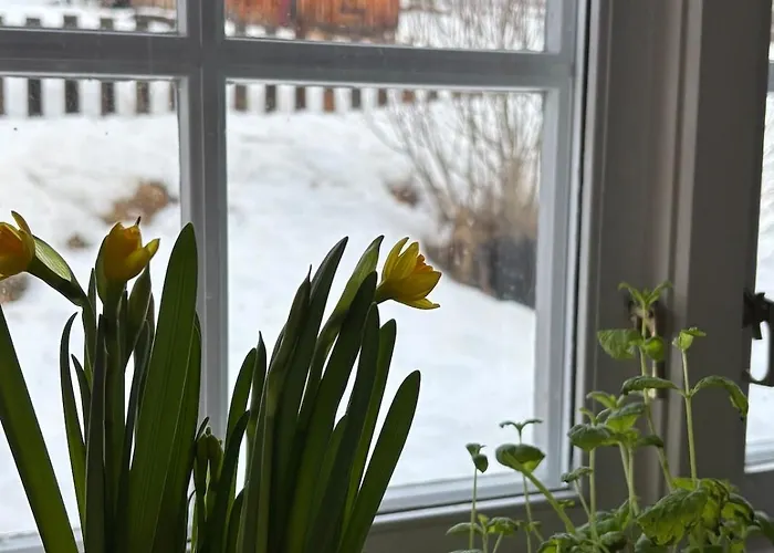 Authentic Norwegian For 8 With Fireplaces & Modern Comfort Near Slopes Chalet