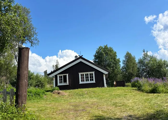 Authentic Norwegian For 8 With Fireplaces & Modern Comfort Near Slopes בקתה גיילו