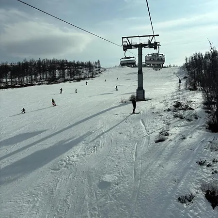 Geilo, Two Cabins, Silence, Nature, Skiing And Summer Sports *